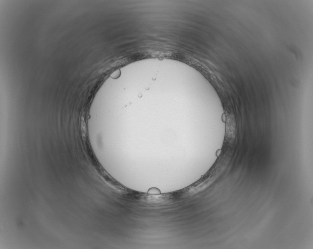 X0000113060622200908280949