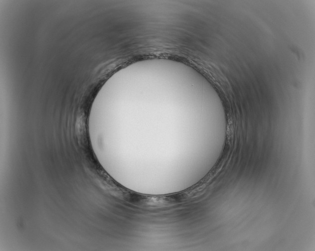 X0000113060623200908280949