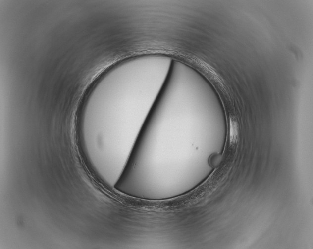 X0000113060627200908280948