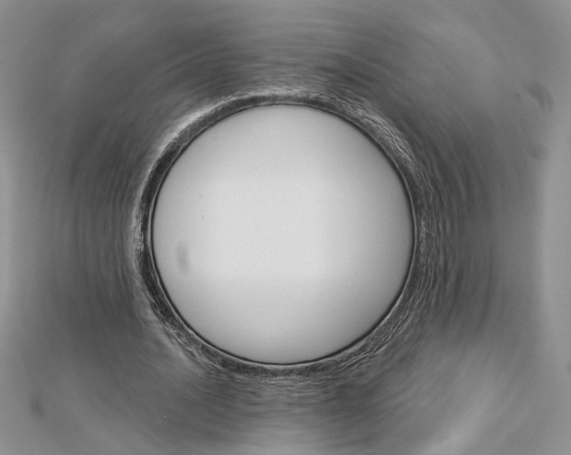 X0000113060628200908280948