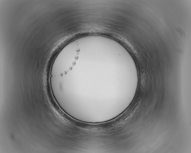 X0000113060629200908280948