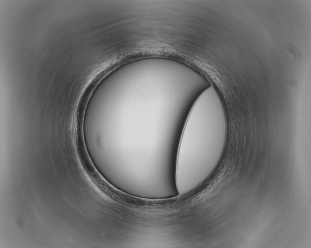 X0000113060630200908280948