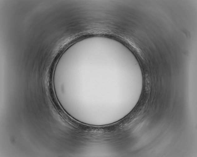 X0000113060631200908280948