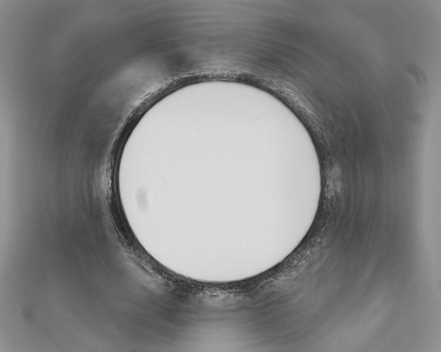 X0000113060632200908280948