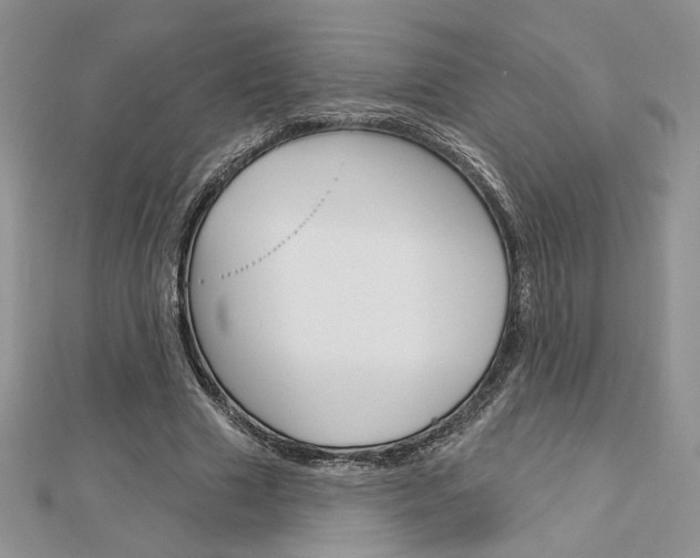 X0000113060633200908280948