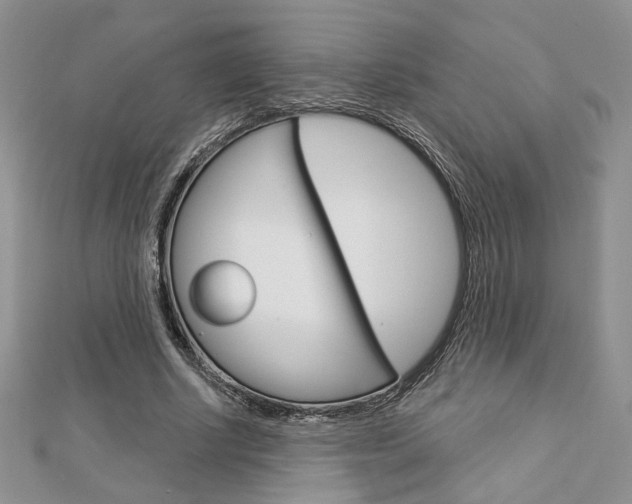 X0000113060634200908280948