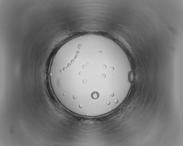 X0000113060635200908280948