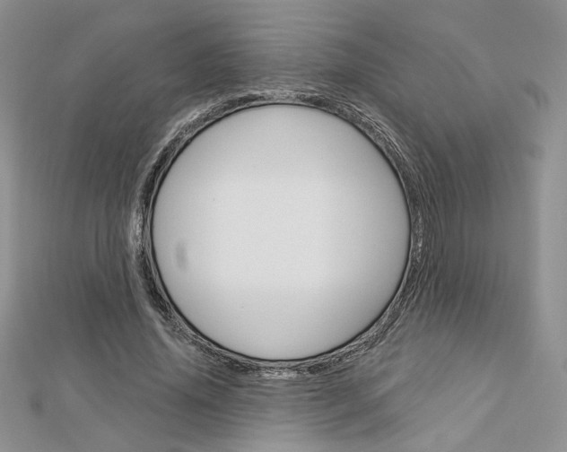X0000113060636200908280948