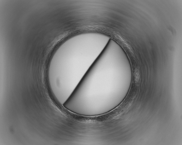 X0000113060637200908280948