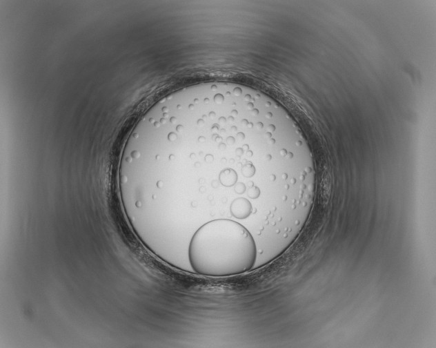X0000113060639200908280948