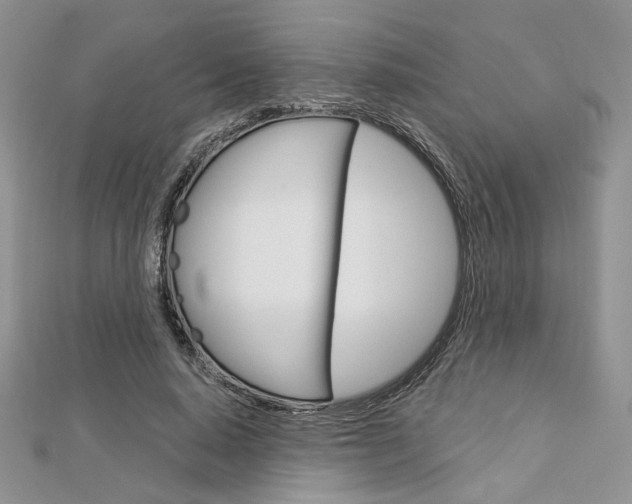 X0000113060640200908280948