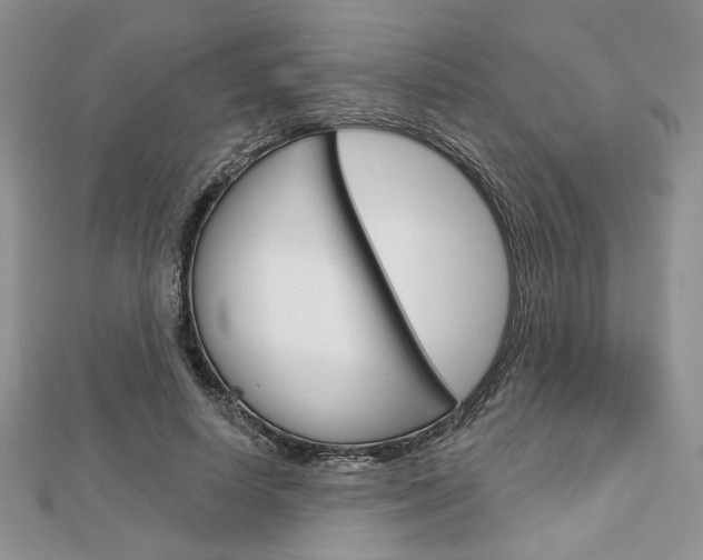 X0000113060642200908280948