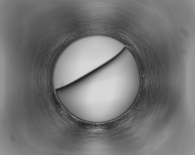 X0000113060643200908280948