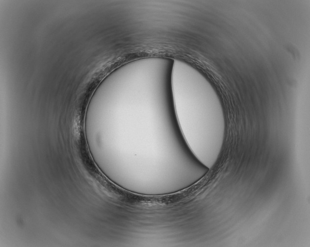 X0000113060644200908280948