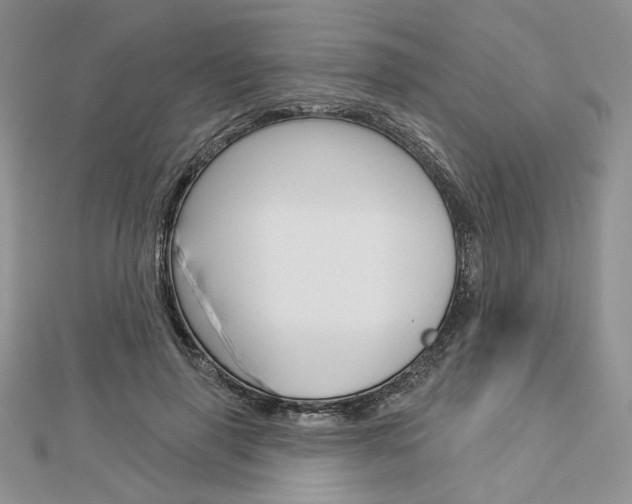 X0000113060645200908280948