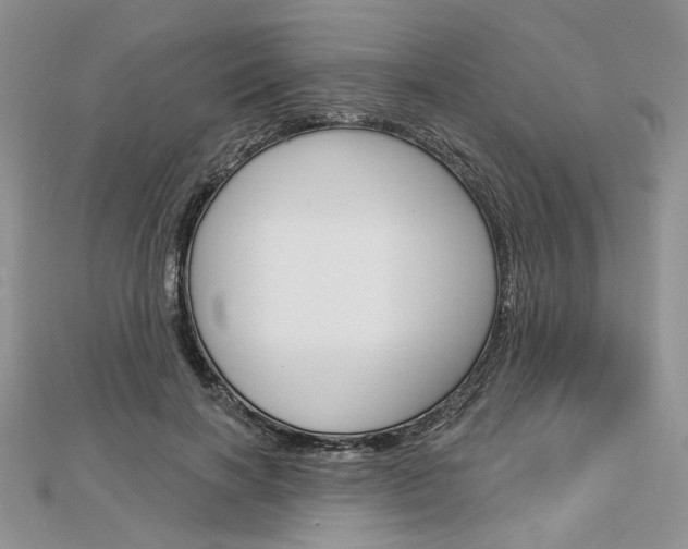 X0000113060646200908280948