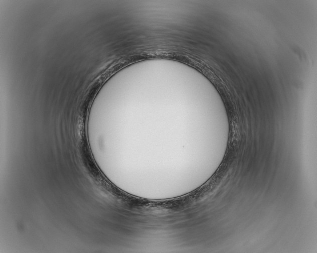 X0000113060648200908280948