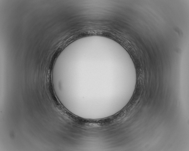 X0000113060649200908280948