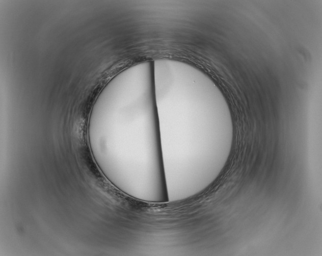X0000113060650200908280948