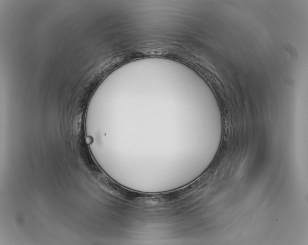 X0000113060652200908280948