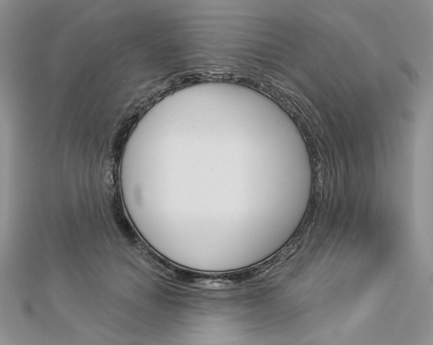 X0000113060654200908280948