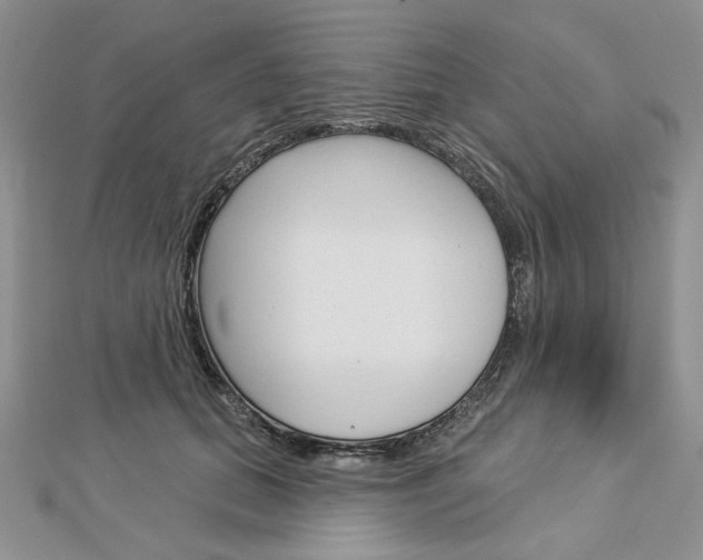 X0000113060655200908280948