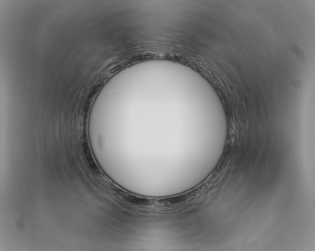 X0000113060656200908280948