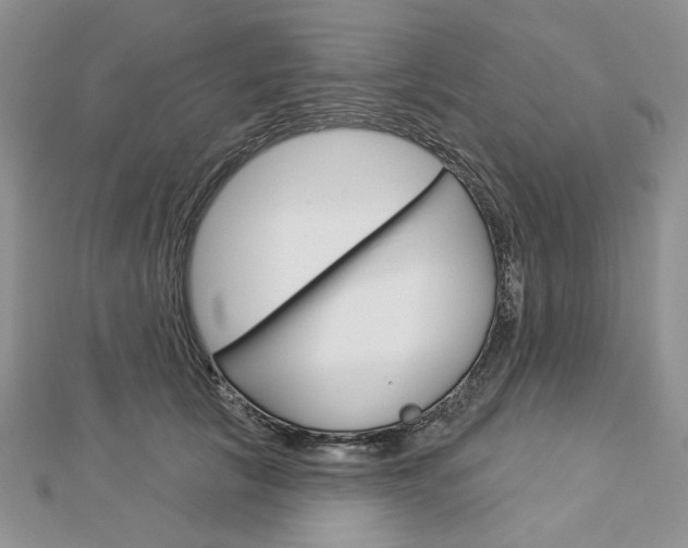 X0000113060657200908280948