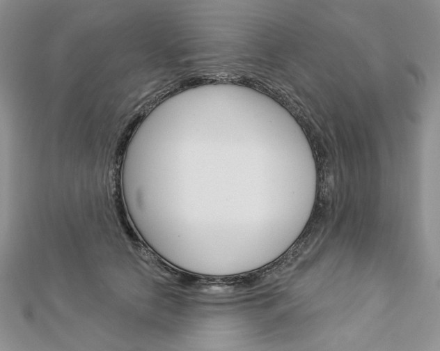X0000113060658200908280948