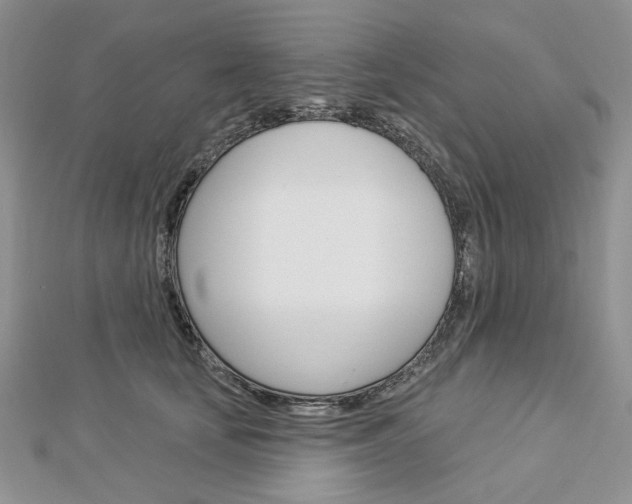 X0000113060659200908280948