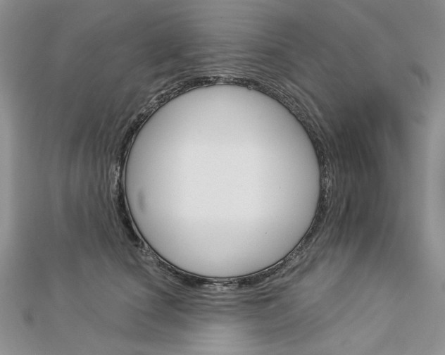 X0000113060660200908280948