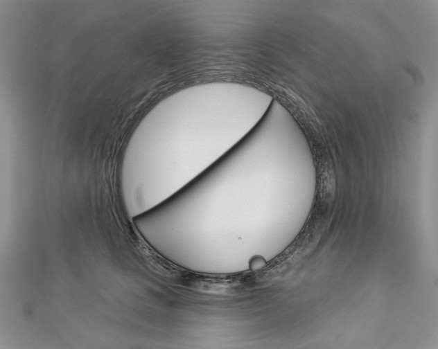 X0000113060661200908280948