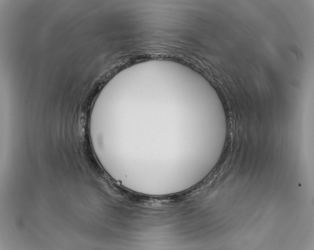 X0000113060664200908280948