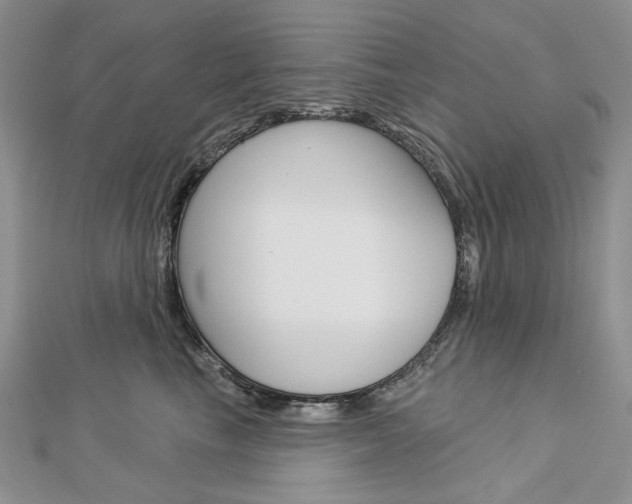 X0000113060665200908280948