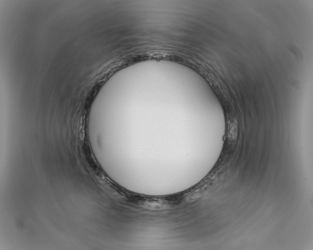 X0000113060666200908280948