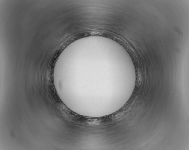 X0000113060667200908280948