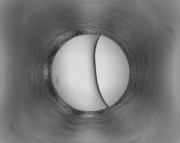 X0000113060668200908280948