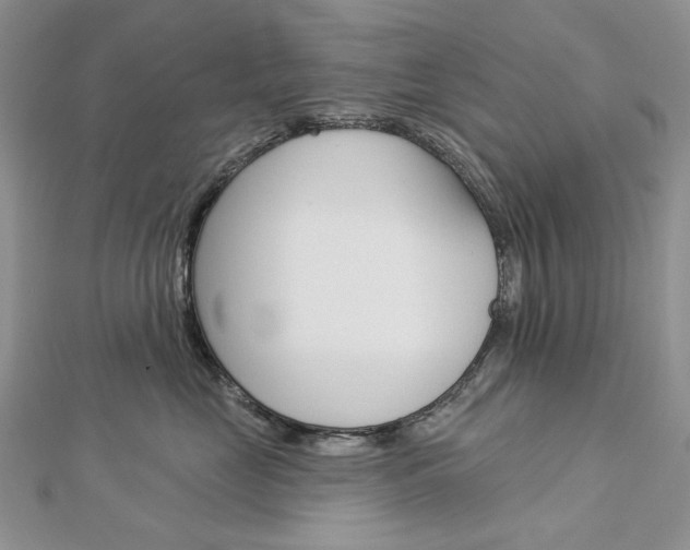 X0000113060669200908280948