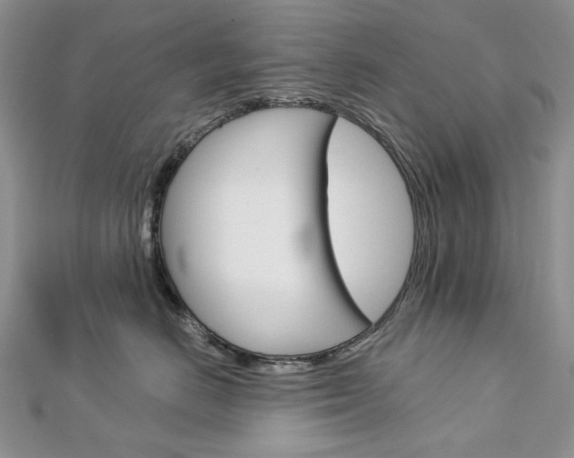 X0000113060670200908280948
