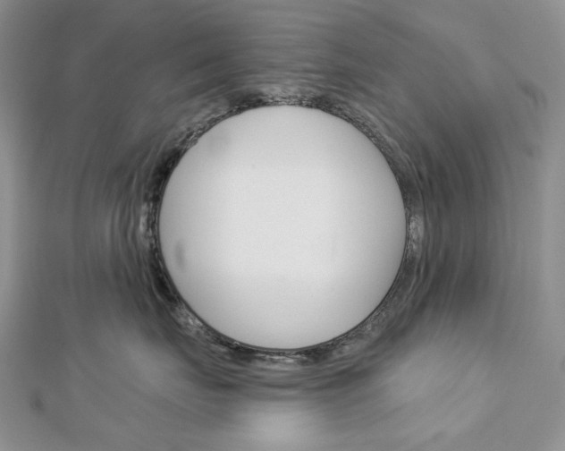 X0000113060671200908280948