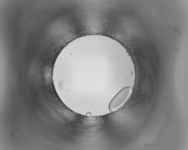 X0000113060672200908280949