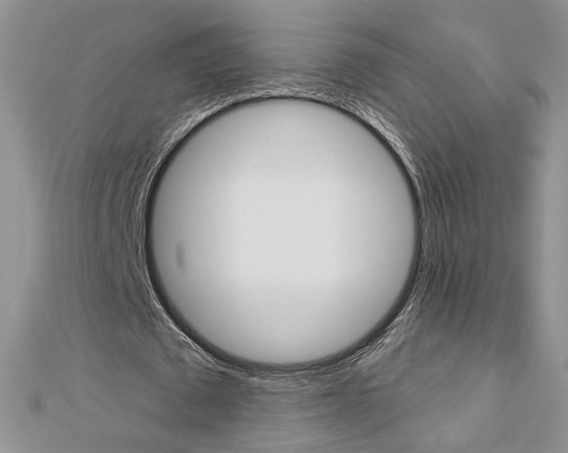 X0000113060673200908280948