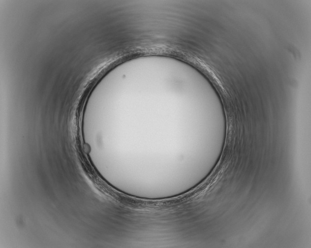 X0000113060674200908280948
