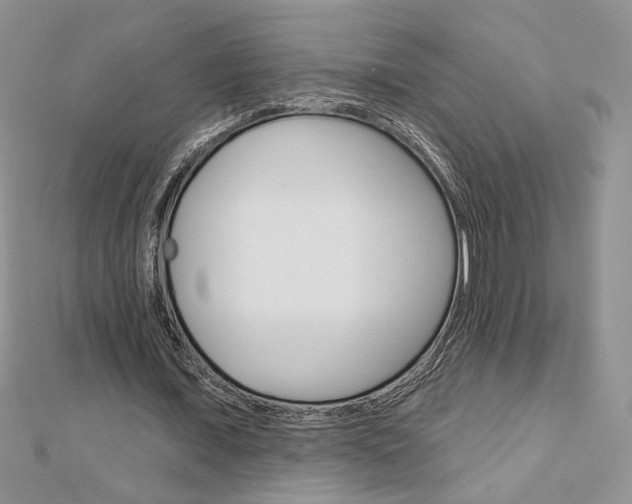 X0000113060675200908280948
