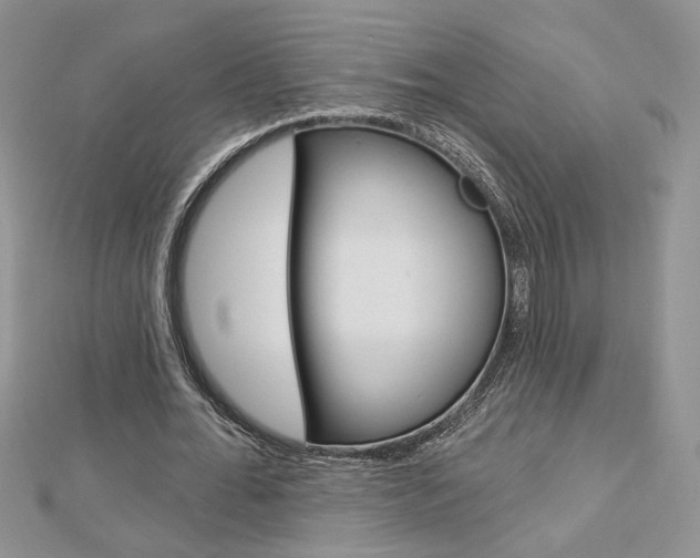 X0000113060676200908280948