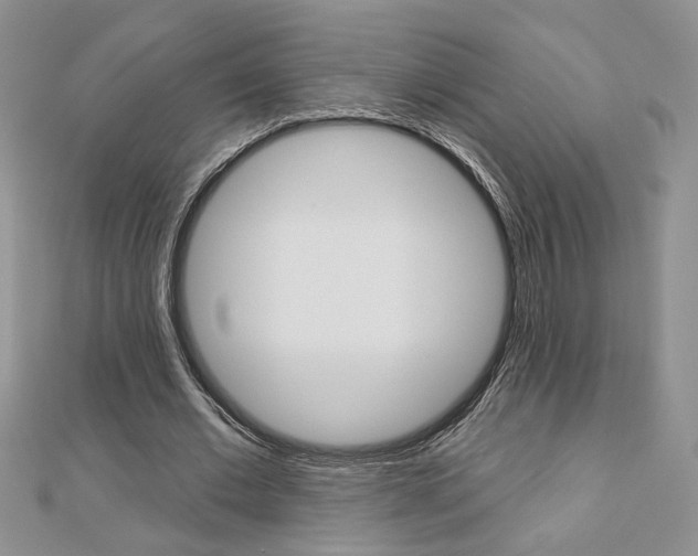 X0000113060677200908280948
