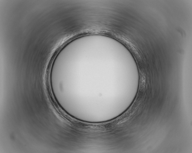 X0000113060678200908280948