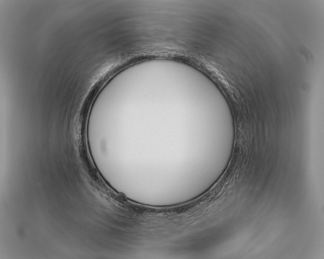 X0000113060679200908280948
