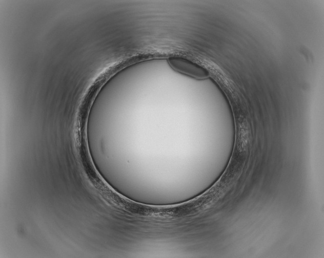 X0000113060680200908280948