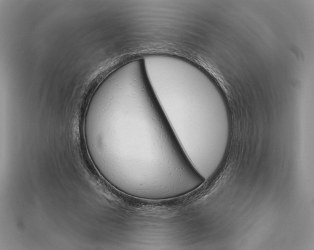 X0000113060681200908280948